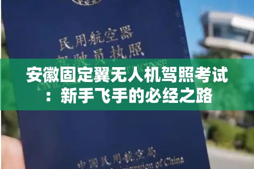 安徽固定翼无人机驾照考试：新手飞手的必经之路