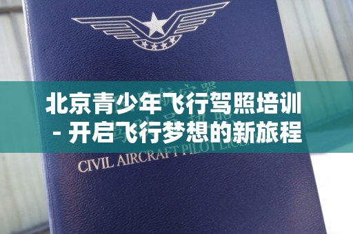 北京青少年飞行驾照培训 - 开启飞行梦想的新旅程