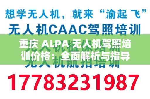 重庆 ALPA 无人机驾照培训价格：全面解析与指导