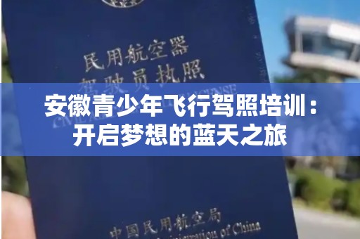 安徽青少年飞行驾照培训：开启梦想的蓝天之旅