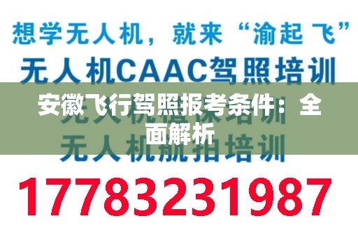 安徽飞行驾照报考条件：全面解析