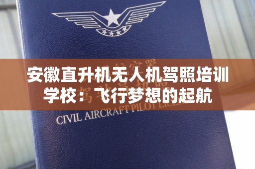 安徽直升机无人机驾照培训学校：飞行梦想的起航