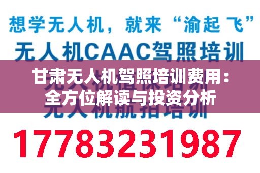甘肃无人机驾照培训费用：全方位解读与投资分析