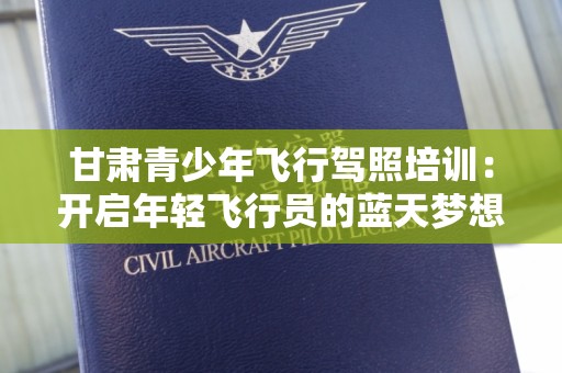 甘肃青少年飞行驾照培训：开启年轻飞行员的蓝天梦想
