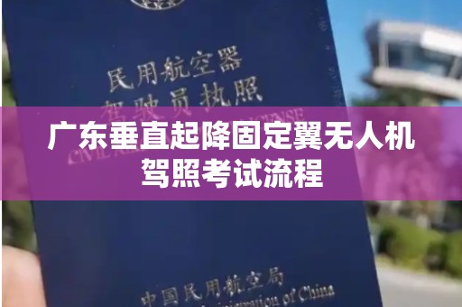 广东垂直起降固定翼无人机驾照考试流程
