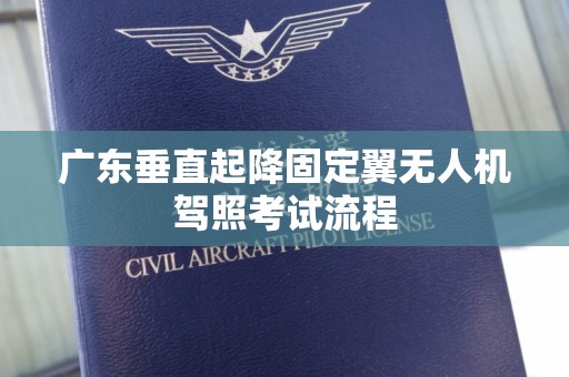 广东垂直起降固定翼无人机驾照考试流程
