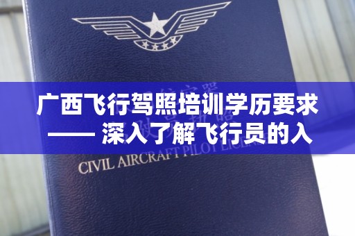 广西飞行驾照培训学历要求 —— 深入了解飞行员的入门门槛