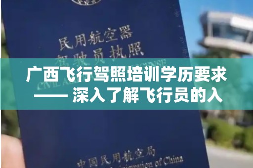 广西飞行驾照培训学历要求 —— 深入了解飞行员的入门门槛