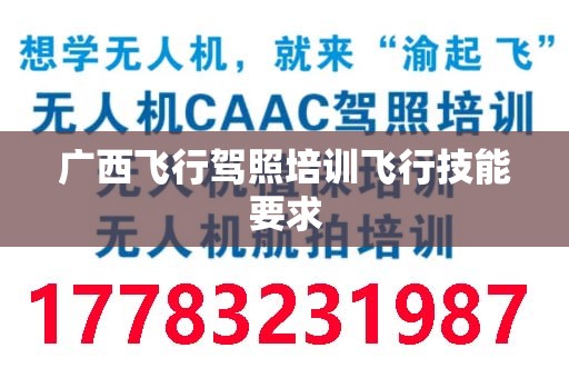 广西飞行驾照培训飞行技能要求