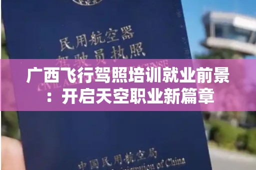 广西飞行驾照培训就业前景：开启天空职业新篇章