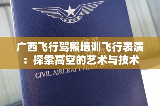 广西飞行驾照培训飞行表演：探索高空的艺术与技术