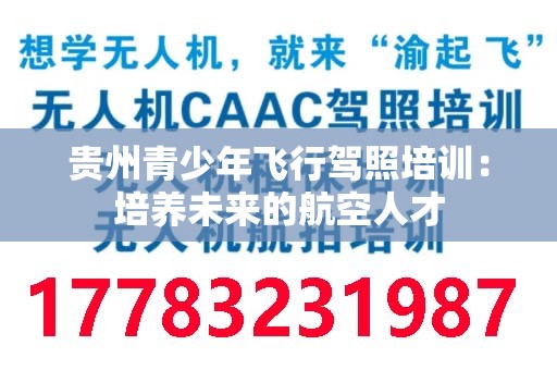 贵州青少年飞行驾照培训：培养未来的航空人才