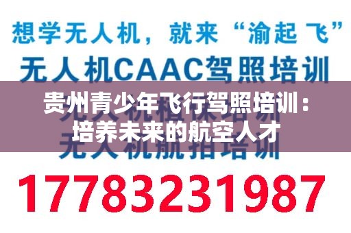 贵州青少年飞行驾照培训：培养未来的航空人才