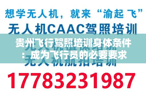 贵州飞行驾照培训身体条件：成为飞行员的必要要求