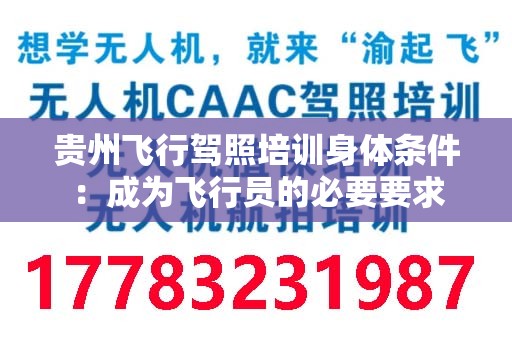 贵州飞行驾照培训身体条件：成为飞行员的必要要求