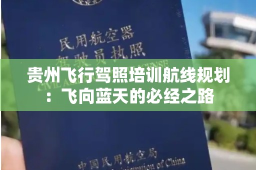 贵州飞行驾照培训航线规划：飞向蓝天的必经之路