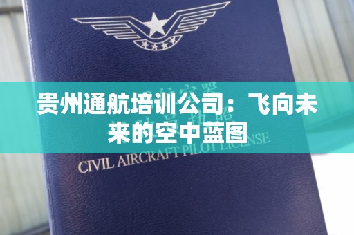 贵州通航培训公司：飞向未来的空中蓝图