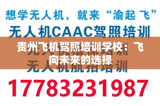 贵州飞机驾照培训学校：飞向未来的选择
