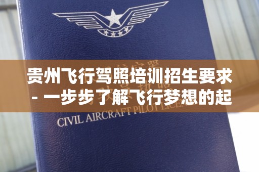 贵州飞行驾照培训招生要求 - 一步步了解飞行梦想的起航