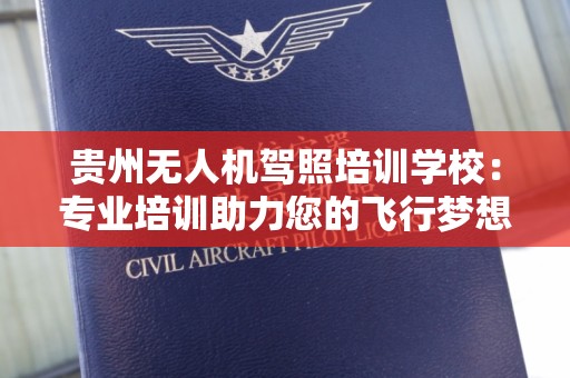 贵州无人机驾照培训学校：专业培训助力您的飞行梦想