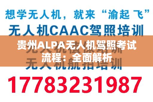 贵州ALPA无人机驾照考试流程：全面解析