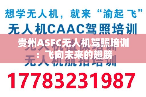贵州ASFC无人机驾照培训：飞向未来的翅膀