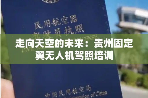 走向天空的未来：贵州固定翼无人机驾照培训