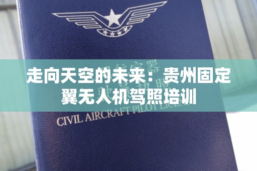 走向天空的未来：贵州固定翼无人机驾照培训