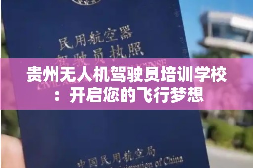 贵州无人机驾驶员培训学校：开启您的飞行梦想