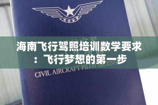 海南飞行驾照培训数学要求：飞行梦想的第一步