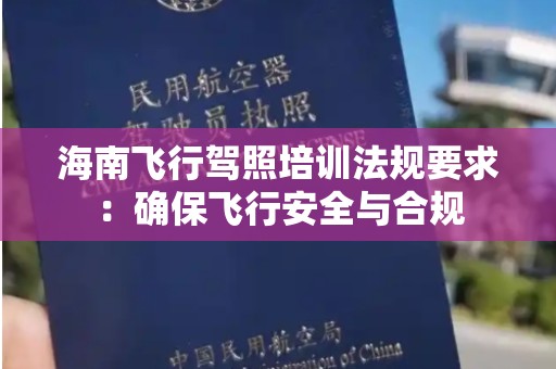 海南飞行驾照培训法规要求：确保飞行安全与合规