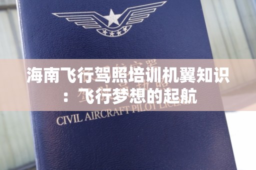海南飞行驾照培训机翼知识：飞行梦想的起航