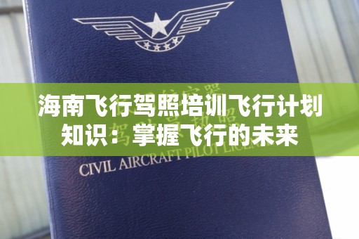 海南飞行驾照培训飞行计划知识：掌握飞行的未来