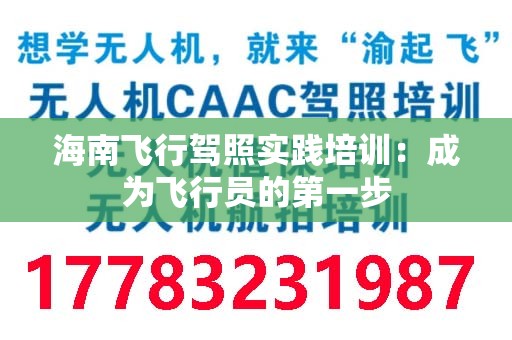 海南飞行驾照实践培训：成为飞行员的第一步
