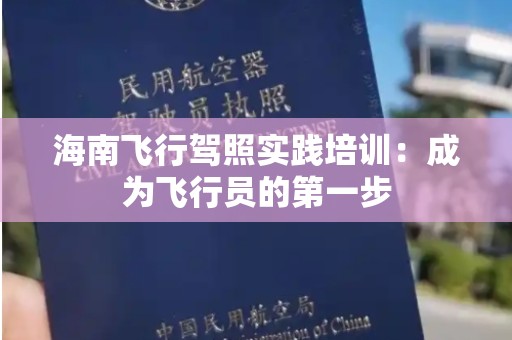 海南飞行驾照实践培训：成为飞行员的第一步