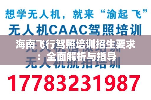 海南飞行驾照培训招生要求：全面解析与指导