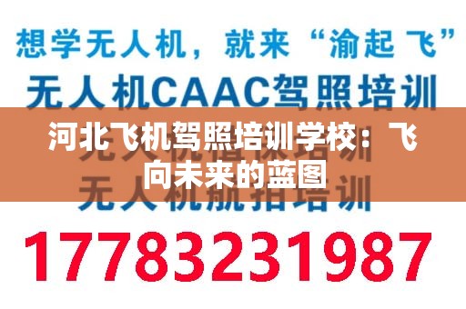河北飞机驾照培训学校：飞向未来的蓝图