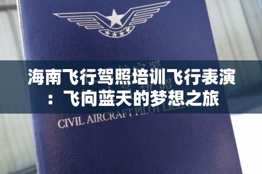 海南飞行驾照培训飞行表演：飞向蓝天的梦想之旅