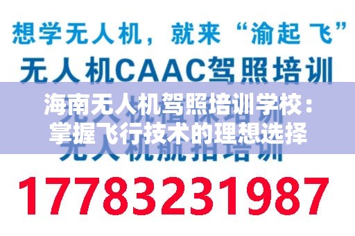 海南无人机驾照培训学校：掌握飞行技术的理想选择