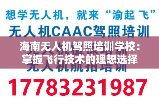 海南无人机驾照培训学校：掌握飞行技术的理想选择
