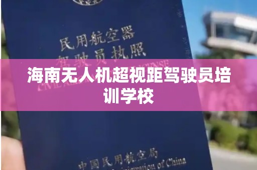 海南无人机超视距驾驶员培训学校
