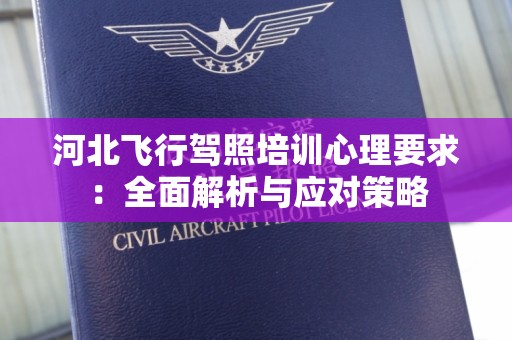 河北飞行驾照培训心理要求：全面解析与应对策略