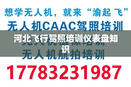 河北飞行驾照培训仪表盘知识