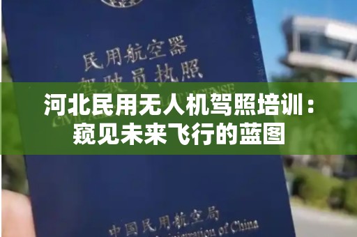 河北民用无人机驾照培训：窥见未来飞行的蓝图