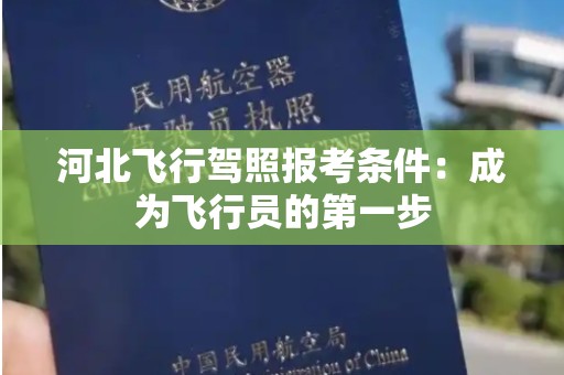 河北飞行驾照报考条件：成为飞行员的第一步