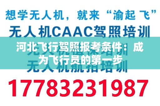 河北飞行驾照报考条件：成为飞行员的第一步