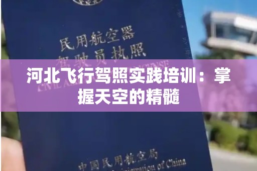 河北飞行驾照实践培训：掌握天空的精髓