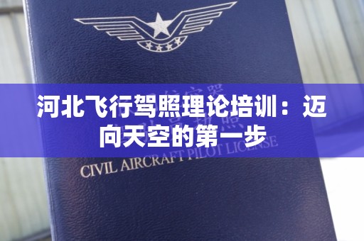 河北飞行驾照理论培训：迈向天空的第一步