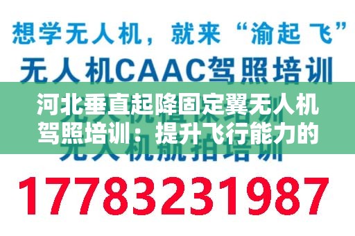 河北垂直起降固定翼无人机驾照培训：提升飞行能力的必备选择