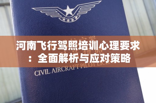 河南飞行驾照培训心理要求：全面解析与应对策略